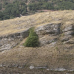 Basilicata