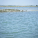 Venice Lagoon