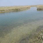 Venice Lagoon