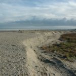 Tidalites 2022 - T7 post-congress field trip Mont Saint Michel